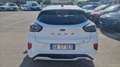 Ford Puma 1.0 ecoboost h st-line s&s 125cv Bianco - thumbnail 4