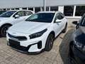 Kia XCeed Xceed 1,0 TGDI 48V GPF Silber DCT Weiß - thumbnail 1