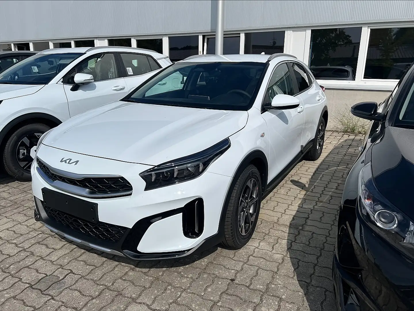 Kia XCeed Xceed 1,0 TGDI 48V GPF Silber DCT Weiß - 1