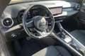 Alfa Romeo Tonale Tonale 1.6 diesel 130 CV TCT6 Ti Grigio - thumbnail 9