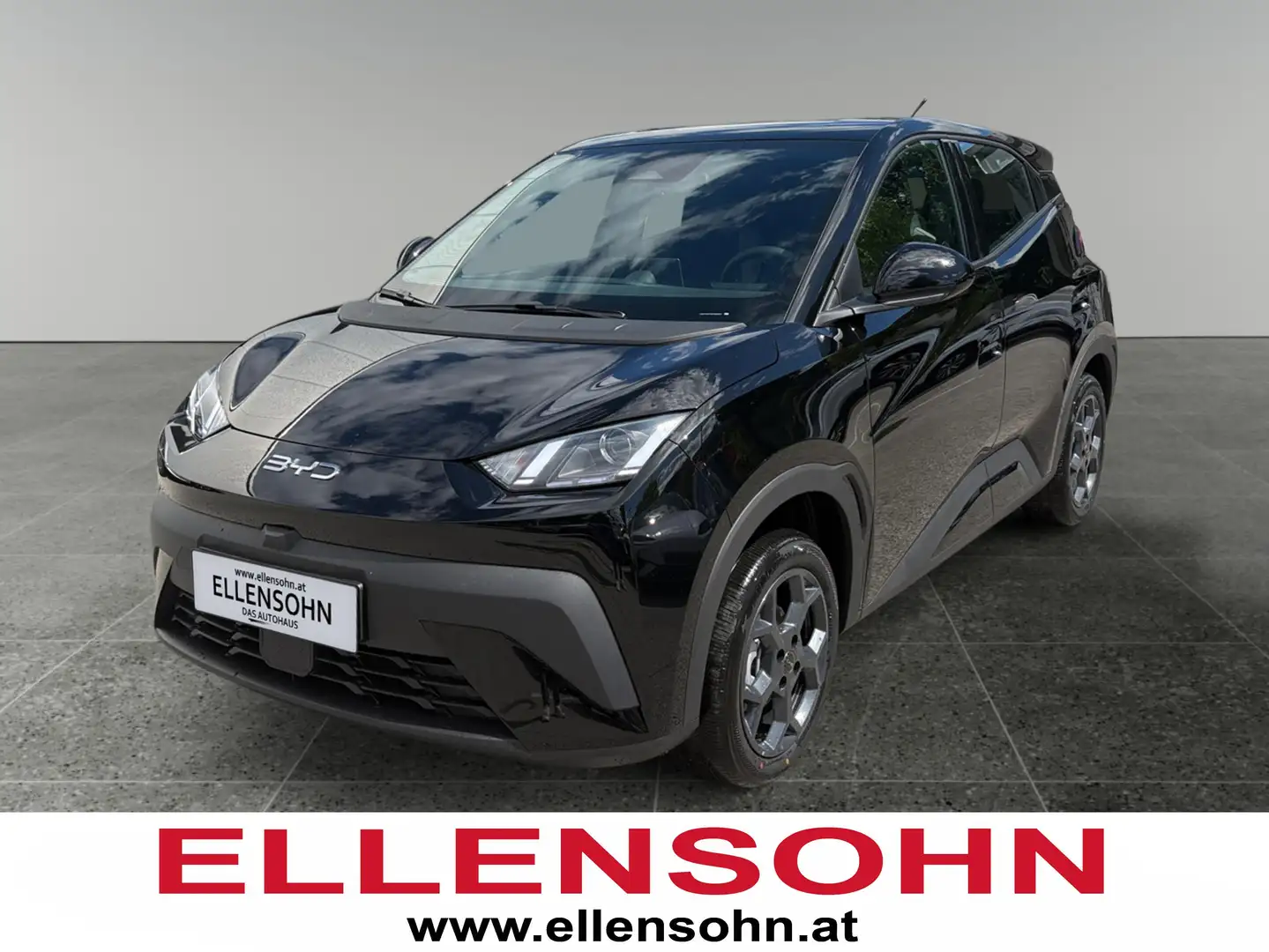 BYD Dolphin Surf Boost Schwarz - 1