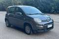 Fiat New Panda Panda 1.2 EasyPower Argento - thumbnail 3