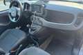 Fiat New Panda Panda 1.2 EasyPower Argento - thumbnail 13