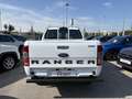 Ford Ranger 2.0cc 170cv DOP CAB 5P. RADIO APP -PREZZO REALE Bianco - thumbnail 3