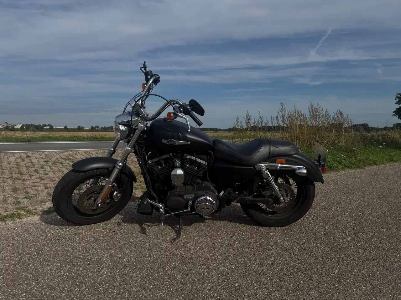 Harley-Davidson Sportster 1200