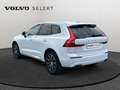 Volvo XC60 T5 AWD Inscription Blanc - thumbnail 24