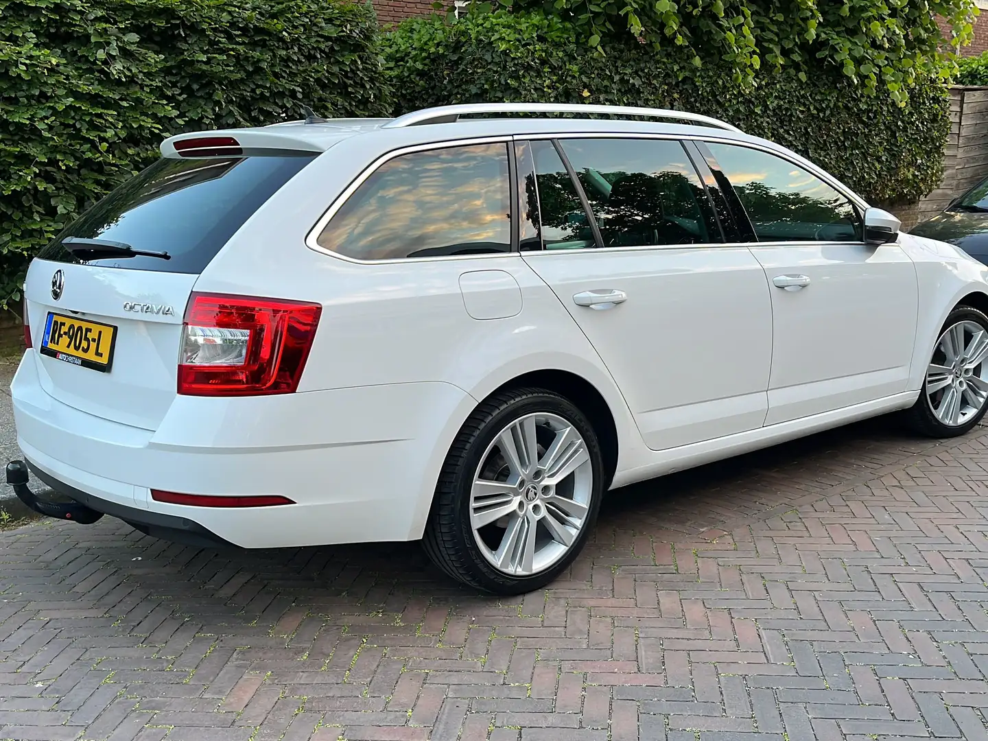 Skoda Octavia Octavia 1.0 TSI Grt Amb. Bns Wit - 2