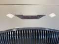 Austin-Healey 100 100 4 Edelstahl Endschalldämpfer Leder rot Weiß - thumbnail 20