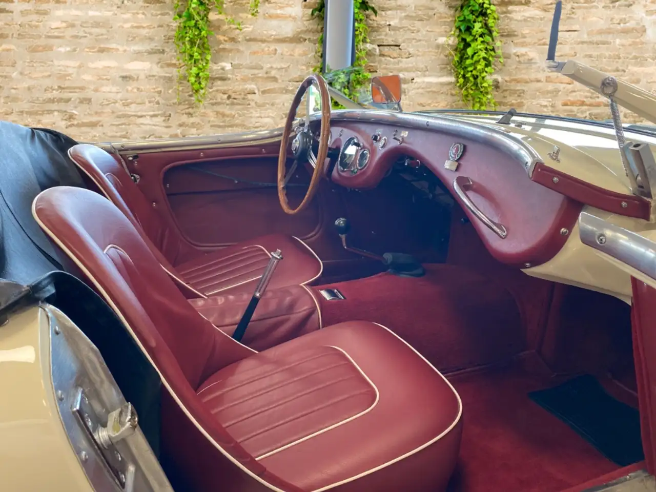 Austin-Healey 100 4 Edelstahl Endschalldämpfer Leder rot, foto 3
