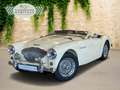 Austin-Healey 100 100 4 Edelstahl Endschalldämpfer Leder rot Weiß - thumbnail 1