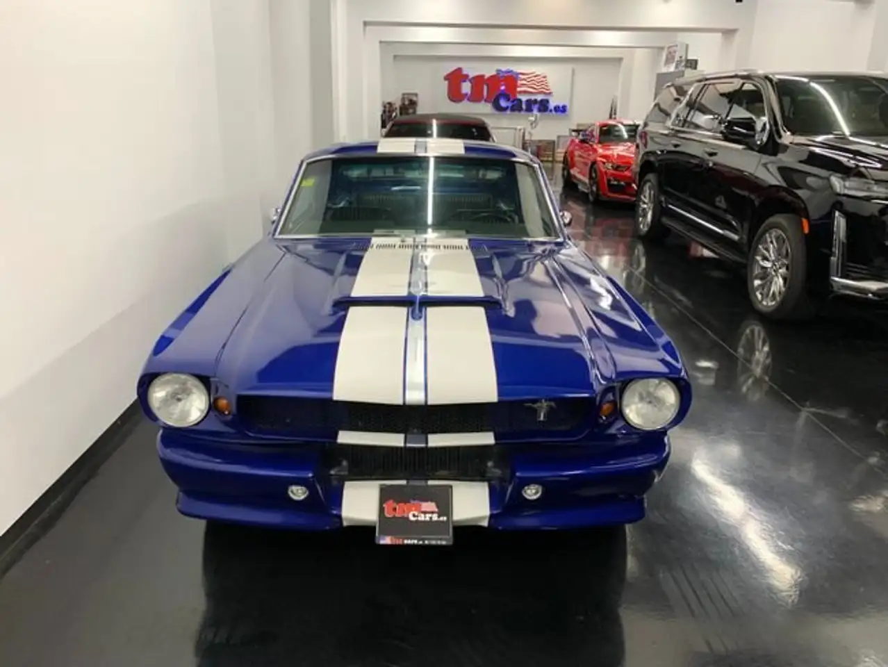 Ford Mustang Fastback 66, foto 2