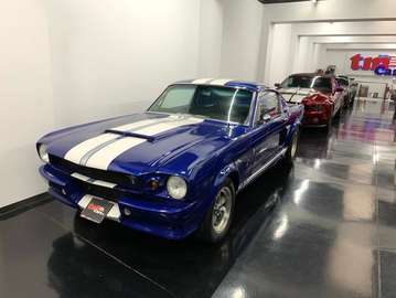 Fastback 66