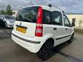 Fiat Panda 1.2 Edizione Cool Wit - thumbnail 6