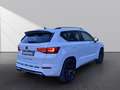 CUPRA Ateca 4Drive*Panorama*Winter*eHeck*Beats*19Zoll* Weiß - thumbnail 4