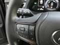 Lexus UX 250h HYBRID +LEDER +Zetelverwarming +Dodehoek +GPS Zwart - thumbnail 20