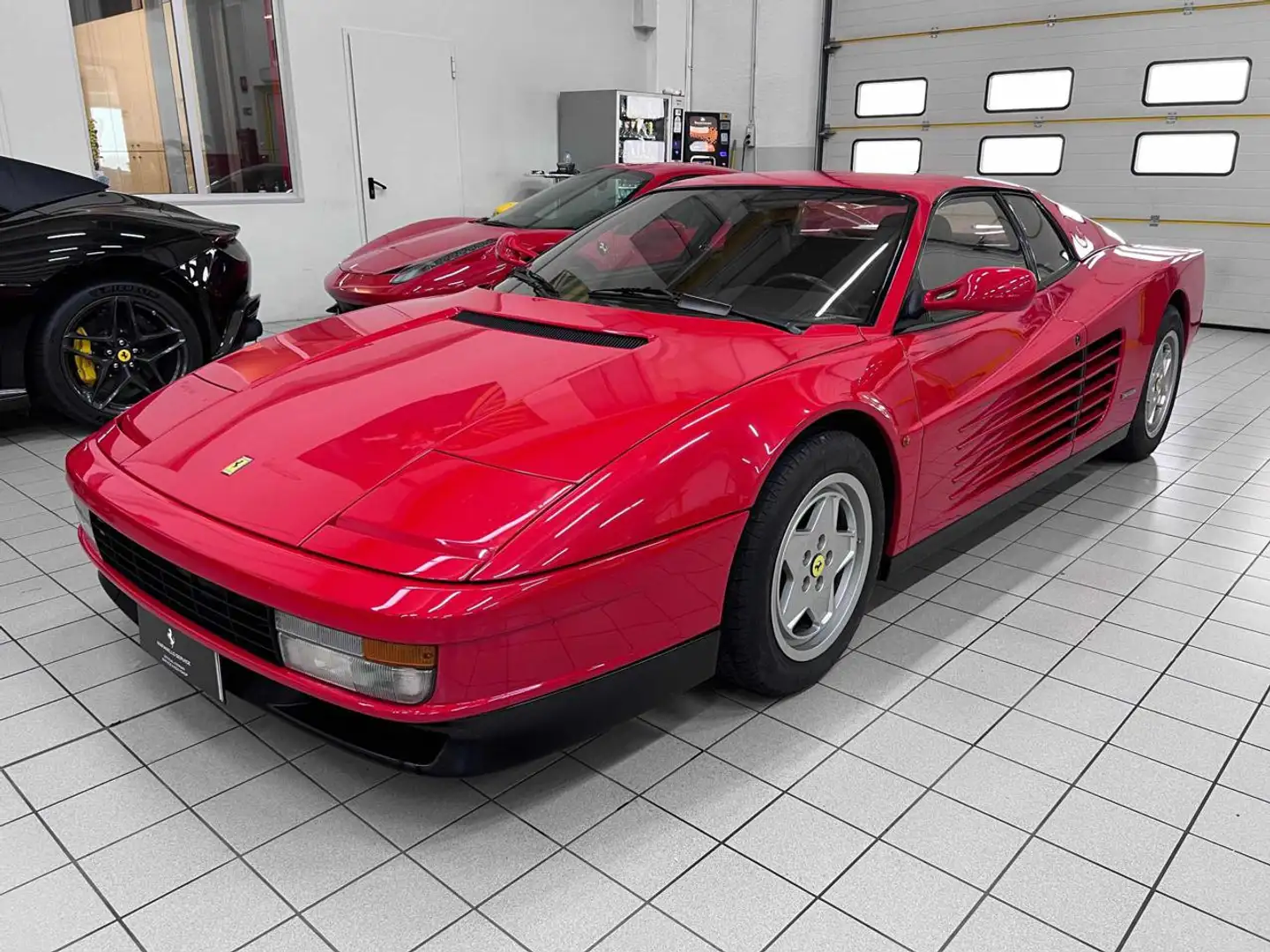 Ferrari Testarossa cat Rot - 1