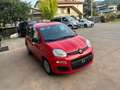 Fiat Panda Panda 1.0 firefly hybrid City Life s Rosso - thumbnail 3