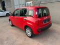 Fiat Panda Panda 1.0 firefly hybrid City Life s Rosso - thumbnail 6