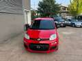 Fiat Panda Panda 1.0 firefly hybrid City Life s Rosso - thumbnail 5