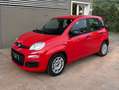 Fiat Panda Panda 1.0 firefly hybrid City Life s Rosso - thumbnail 9