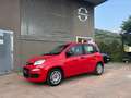 Fiat Panda Panda 1.0 firefly hybrid City Life s Rosso - thumbnail 12