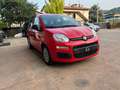 Fiat Panda Panda 1.0 firefly hybrid City Life s Rosso - thumbnail 7