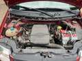 Fiat Panda 1.2 4x4 Climbing A.S.I. Rouge - thumbnail 13