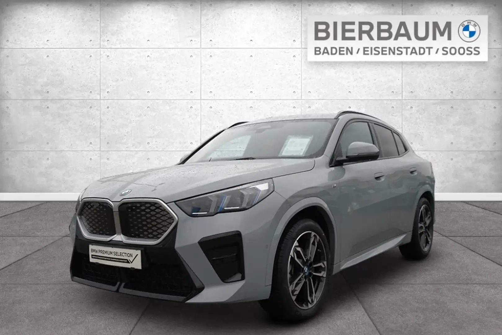 BMW iX2 eDrive20 Grau - 1