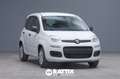 Fiat Panda 1.0 Firefly Hybrid 70CV 5p.ti + Pack City Blanc - thumbnail 20