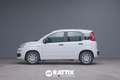 Fiat Panda 1.0 Firefly Hybrid 70CV 5p.ti + Pack City Blanc - thumbnail 2