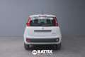 Fiat Panda 1.0 Firefly Hybrid 70CV 5p.ti + Pack City Blanc - thumbnail 5