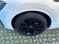 Volkswagen Touareg Touareg 3.0 V6 tdi R-Line subentro Leasing Bianco - thumbnail 14
