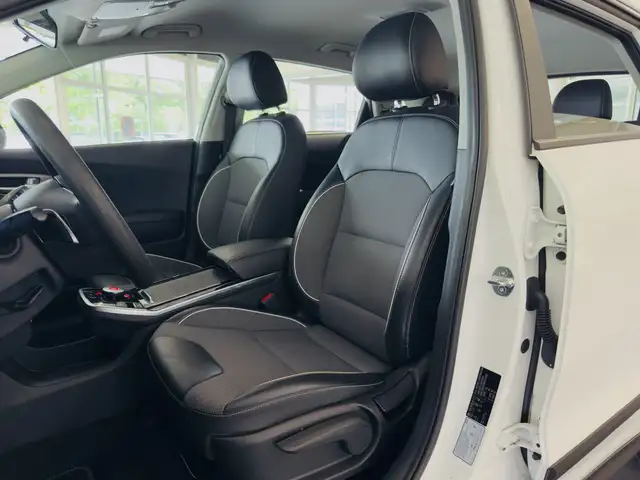 Kia Niro view 12