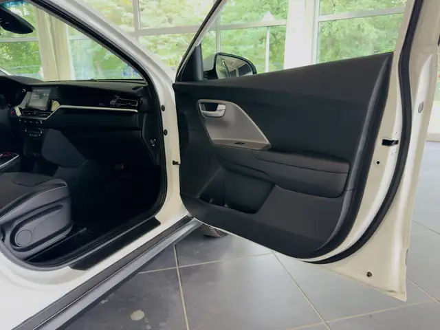 Kia Niro view 14