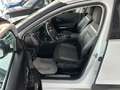 Citroen C5 Aircross 1.6hybrid Shine 225 e-eat8 APPLE-ANDROID KM 34000 Bianco - thumbnail 6