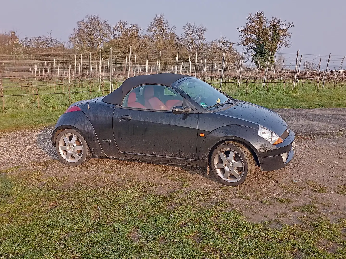 Ford Streetka Streetka 1.6 8V Elegance Schwarz - 2