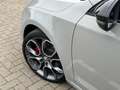 Skoda Octavia Combi RS,Canton,LED-Licht,ACC Grigio - thumbnail 10
