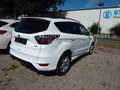 Ford Kuga ST-Line Weiß - thumbnail 5