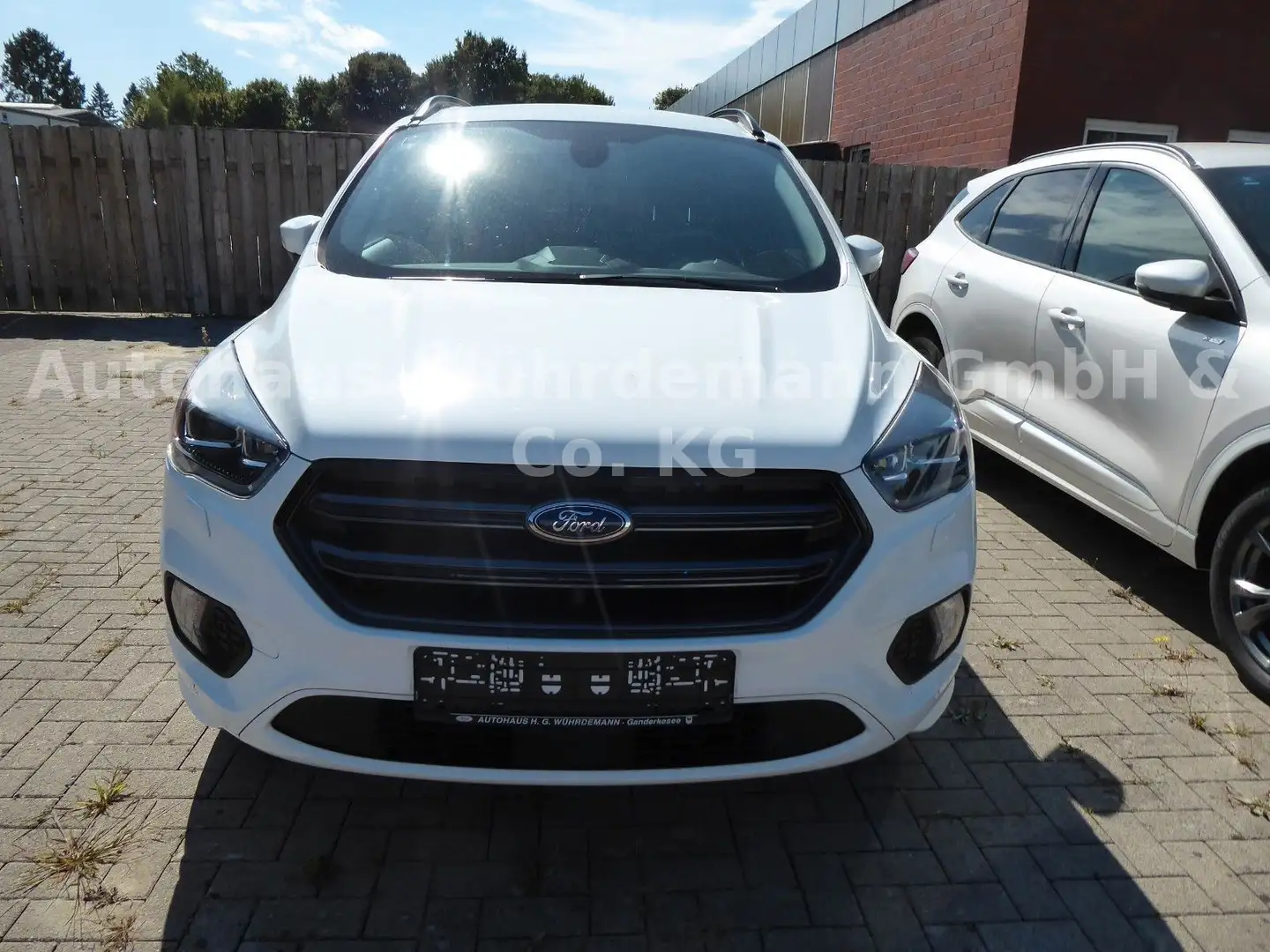 Ford Kuga ST-Line Weiß - 2