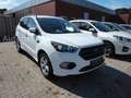Ford Kuga ST-Line Weiß - thumbnail 3