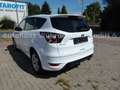 Ford Kuga ST-Line Weiß - thumbnail 7