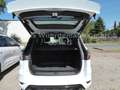 Ford Kuga ST-Line Weiß - thumbnail 8