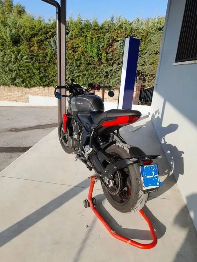 Triumph Trident 660 Grigio - 2