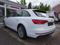 Audi A4 AVANT 35TDI AUTOM LEDER STANDHEIZ AHK Bianco - thumbnail 7