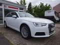Audi A4 AVANT 35TDI AUTOM LEDER STANDHEIZ AHK Bianco - thumbnail 3