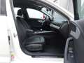 Audi A4 AVANT 35TDI AUTOM LEDER STANDHEIZ AHK Bianco - thumbnail 11