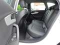 Audi A4 AVANT 35TDI AUTOM LEDER STANDHEIZ AHK Bianco - thumbnail 12