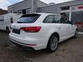 Audi A4 AVANT 35TDI AUTOM LEDER STANDHEIZ AHK Bianco - thumbnail 5