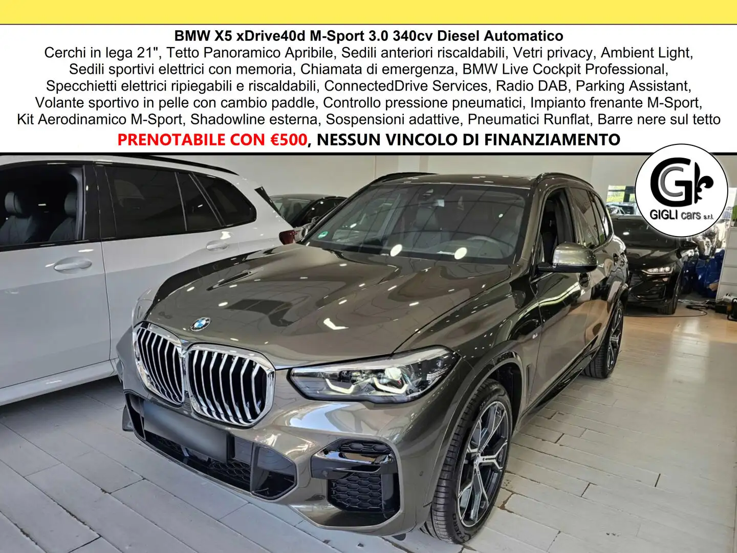 BMW X5 XDrive 40d M-Sport Tetto Led Cam Msport msport Grau - 1