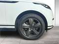 Land Rover Range Rover Velar D200 S DAB LED el. Sitze Weiß - thumbnail 6